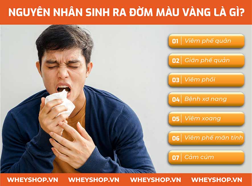 Đờm màu vàng là tình trạng rất phổ biến và thường gặp ở rất nhiều người. Sự xuất hiện quá nhiều đờm là 1 trong những trong những cảnh báo về chứng trạng tình...
