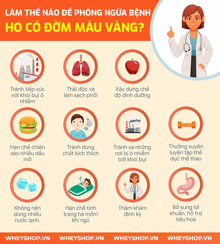 Đờm màu vàng là tình trạng rất phổ biến và thường gặp ở rất nhiều người. Sự xuất hiện quá nhiều đờm là 1 trong những trong những cảnh báo về chứng trạng tình...