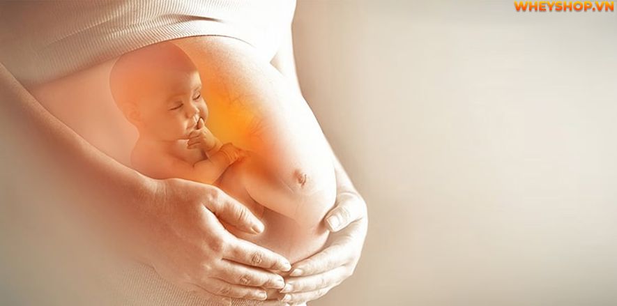 Nếu các mẹ đang băn khoăn dư ối có nên uống sữa tươi không đường thì hãy cùng WheyShop tham khảo giải đáp thắc mắc qua bài viết...