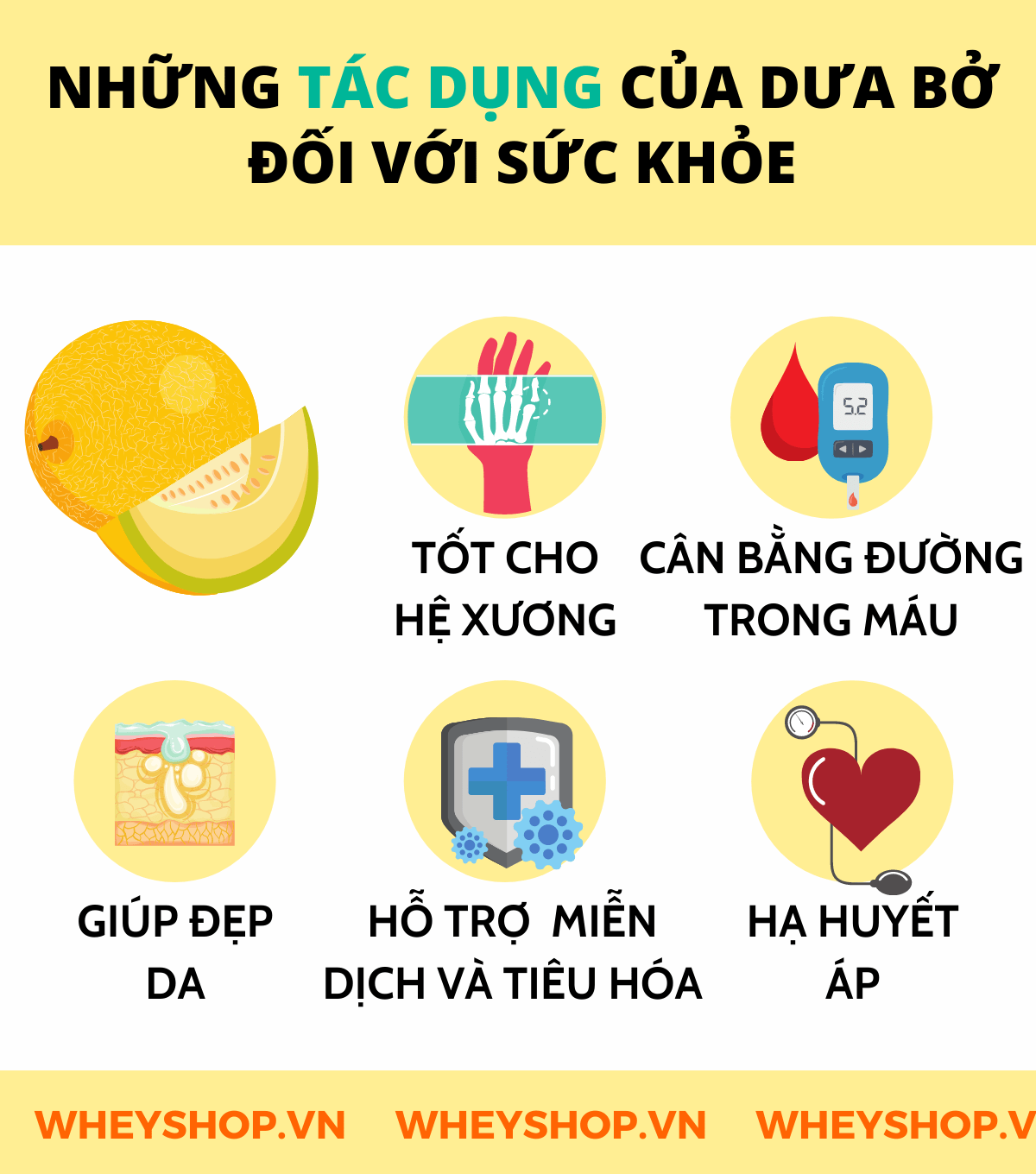 Nếu bạn đang băn khoăn dưa bở bao nhiêu calo và ăn dưa bở có tốt không thì hãy cùng WheyShop tham khảo chi tiết bài viết ...