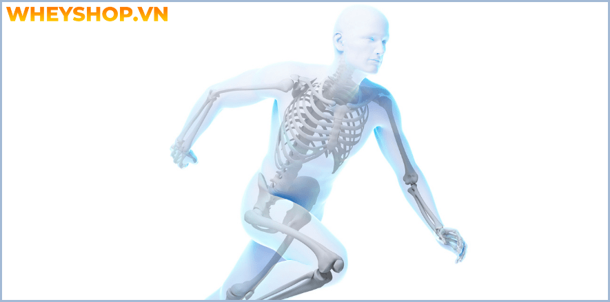 Nếu bạn đang băn khoăn dưa bở bao nhiêu calo và ăn dưa bở có tốt không thì hãy cùng WheyShop tham khảo chi tiết bài viết ...