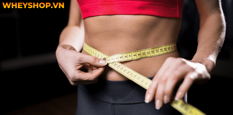 Nếu bạn đang băn khoăn dưa bở bao nhiêu calo và ăn dưa bở có tốt không thì hãy cùng WheyShop tham khảo chi tiết bài viết ...