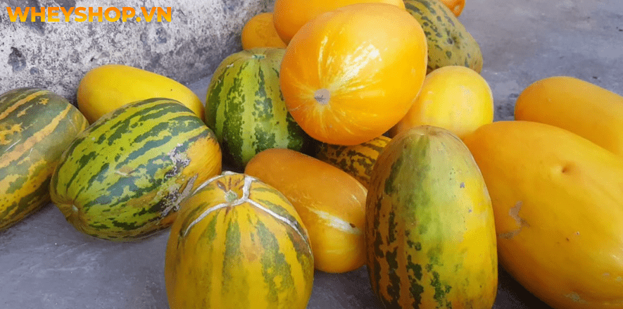 Nếu bạn đang băn khoăn dưa bở bao nhiêu calo và ăn dưa bở có tốt không thì hãy cùng WheyShop tham khảo chi tiết bài viết ...