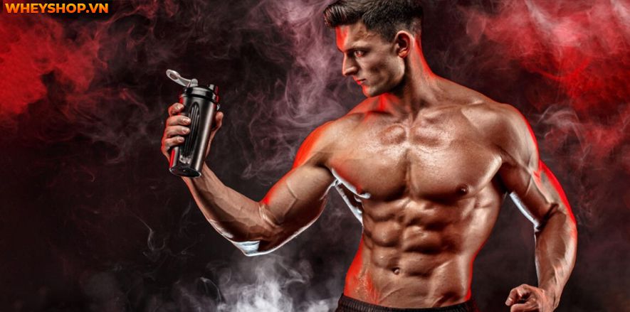 Nếu bạn đang băn khoăn không rõ dùng BCAA tăng cơ giảm mỡ có tốt không hay bị mập thì hãy cùng WheyShop tham khảo bài viết ngay nhé...