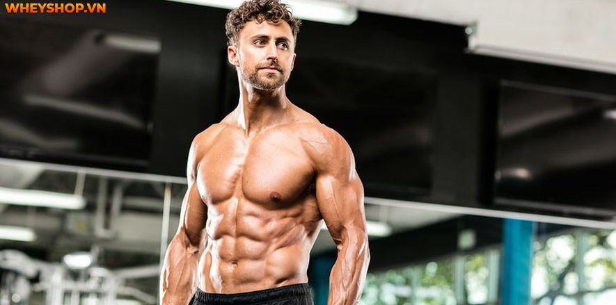 Nếu bạn đang băn khoăn không rõ dùng BCAA tăng cơ giảm mỡ có tốt không hay bị mập thì hãy cùng WheyShop tham khảo bài viết ngay nhé...