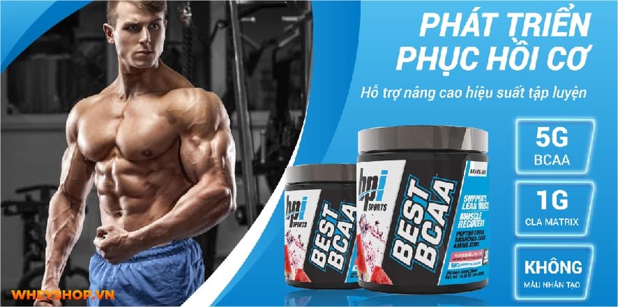 Nhiều bạn trẻ tập Gym thắc mắc: Dưới 18 tuổi nên sử dụng thực phẩm bổ sung không? WheyShop giải đáp Dưới 18 tuổi có nên uống Whey Protein, Mass Gainer, BCAA...