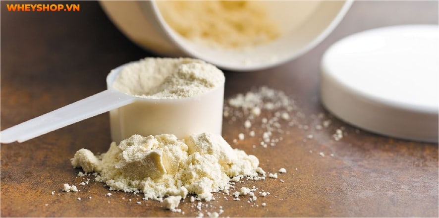 Nhiều bạn trẻ tập Gym thắc mắc: Dưới 18 tuổi nên sử dụng thực phẩm bổ sung không? WheyShop giải đáp Dưới 18 tuổi có nên uống Whey Protein, Mass Gainer, BCAA...