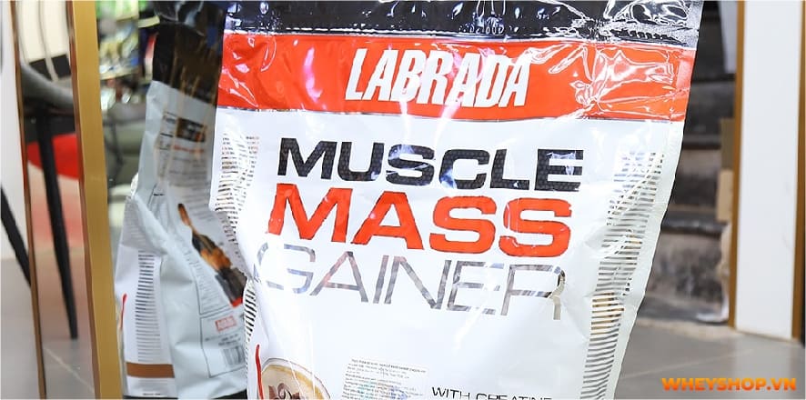 Nhiều bạn trẻ tập Gym thắc mắc: Dưới 18 tuổi nên sử dụng thực phẩm bổ sung không? WheyShop giải đáp Dưới 18 tuổi có nên uống Whey Protein, Mass Gainer, BCAA...