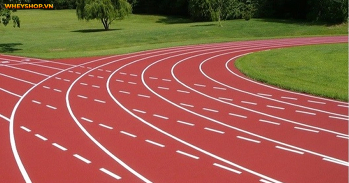 duong-pitch-la-gi-duong-piste-hay-duong-pitch(1)