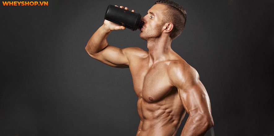 Nếu bạn đang băn khoăn không rõ dùng BCAA tăng cơ giảm mỡ có tốt không hay bị mập thì hãy cùng WheyShop tham khảo bài viết ngay nhé...