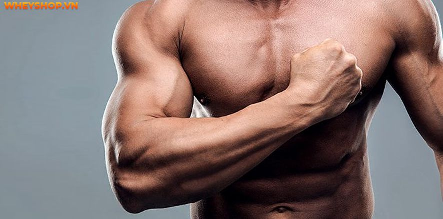 Nếu bạn đang băn khoăn sữa tươi không đường bao nhiêu calo thì hãy cùng WheyShop tìm hiểu chi tiết các loại sữa tươi không đường qua bài viết...