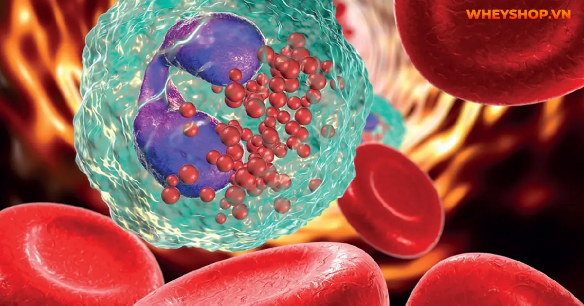 eos-la-gi-chi-so-eos-tang-cao-co-nguy-hiem-khong-03-min