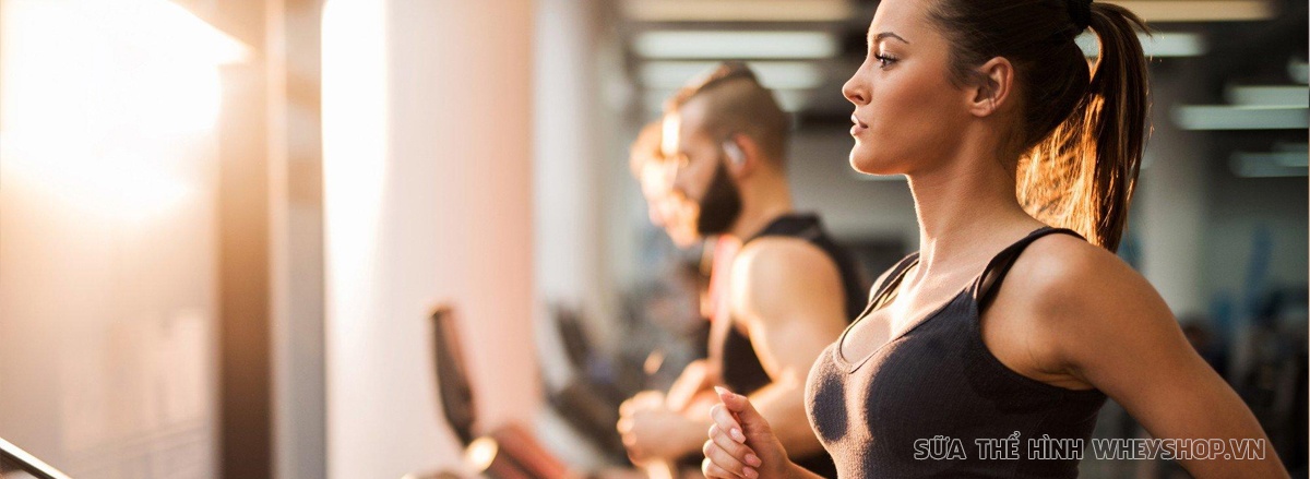 Chắc hẳn nhiều bạn đã nghe về Fitness nhưng không phải ai cũng hiểu rõ khái niệm, lợi ích và phương pháp tập Fitness. Hãy cùng tìm hiểu chi tiết qua bài viết...