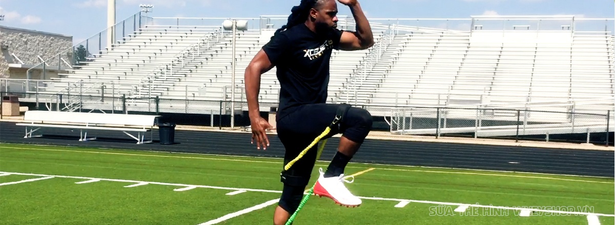 Chắc hẳn nhiều bạn đã nghe về Fitness nhưng không phải ai cũng hiểu rõ khái niệm, lợi ích và phương pháp tập Fitness. Hãy cùng tìm hiểu chi tiết qua bài viết...