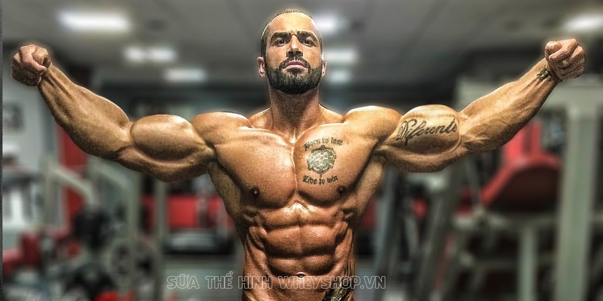 Chắc hẳn nhiều bạn đã nghe về Fitness nhưng không phải ai cũng hiểu rõ khái niệm, lợi ích và phương pháp tập Fitness. Hãy cùng tìm hiểu chi tiết qua bài viết...