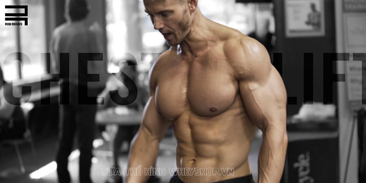 Chắc hẳn nhiều bạn đã nghe về Fitness nhưng không phải ai cũng hiểu rõ khái niệm, lợi ích và phương pháp tập Fitness. Hãy cùng tìm hiểu chi tiết qua bài viết...