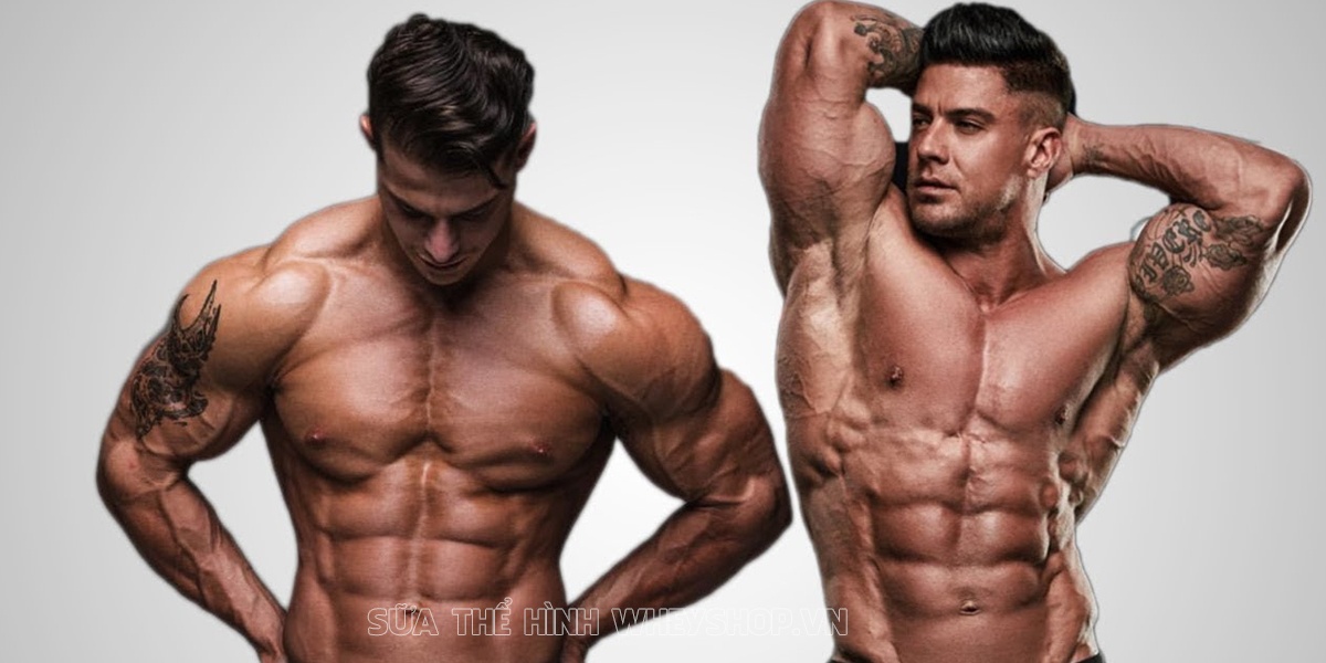 Chắc hẳn nhiều bạn đã nghe về Fitness nhưng không phải ai cũng hiểu rõ khái niệm, lợi ích và phương pháp tập Fitness. Hãy cùng tìm hiểu chi tiết qua bài viết...