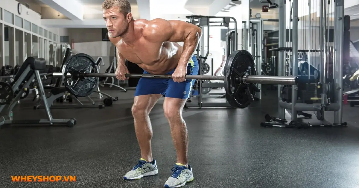 functional-training-la-gi-08-min