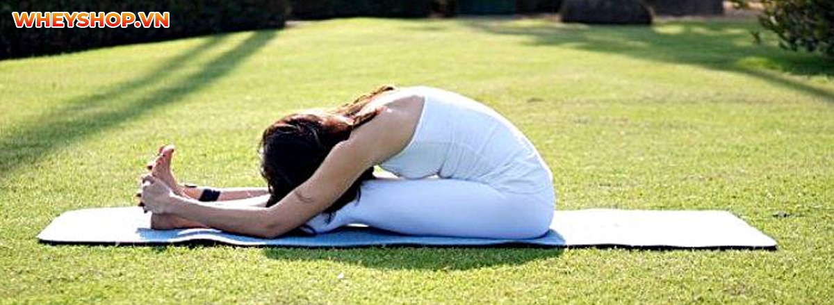 Tập yoga có tăng chiều cao không ? Tập thế nào để phát triển chiều hiệu quả ?