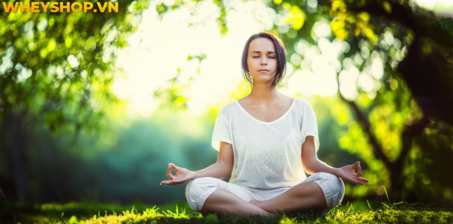 Bạn nghĩ rằng cơ thể của bạn không đủ linh hoạt để tập Yoga? Bạn có thể tham khảo chuyển sang tập Gentle Yoga , đây là một hình thức Yoga nhẹ nhàng nên rất...