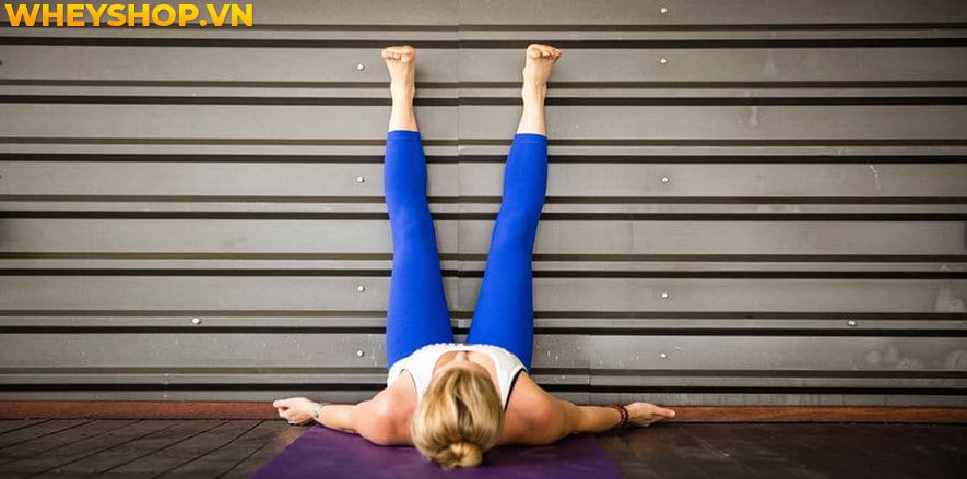 Bạn nghĩ rằng cơ thể của bạn không đủ linh hoạt để tập Yoga? Bạn có thể tham khảo chuyển sang tập Gentle Yoga , đây là một hình thức Yoga nhẹ nhàng nên rất...
