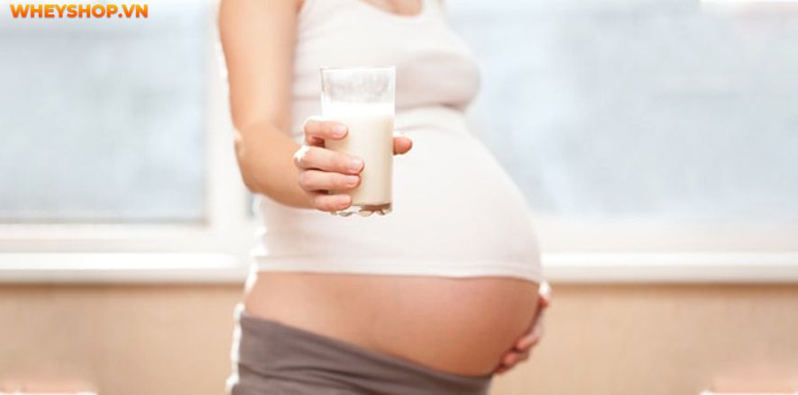 Nếu bạn đang băn khoăn Bà bầu uống sữa TH True Milk có tốt không thì hãy cùng WheyShop tham khảo giải đáp thắc mắc qua bài viết...
