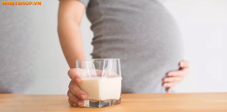 Nếu bạn đang băn khoăn Bà bầu uống sữa TH True Milk có tốt không thì hãy cùng WheyShop tham khảo giải đáp thắc mắc qua bài viết...