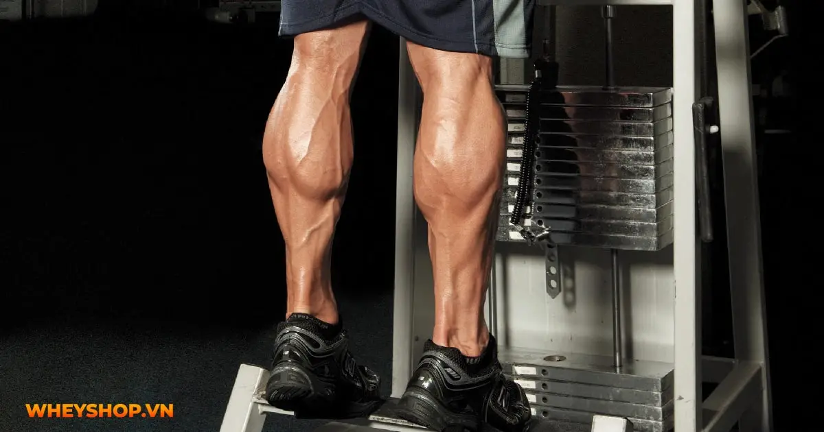 giai-dap-cau-hoi-bap-chan-to-co-cao-duoc-khong-03-min