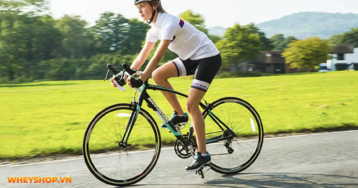 giai-dap-cau-hoi-bap-chan-to-co-cao-duoc-khong-03-min