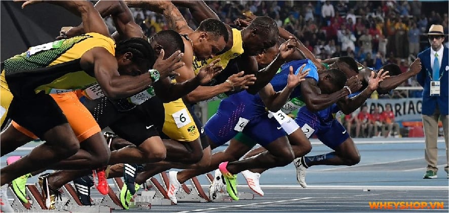 Điền kinh là gì? Chắc hẳn không ít người đã nghe về môn thể thao này, thậm chí thời trung học còn phải thi bộ môn này. Hãy cùng WheyShop tìm hiểu....