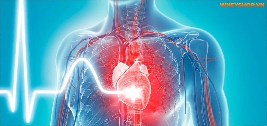 Điền kinh là gì? Chắc hẳn không ít người đã nghe về môn thể thao này, thậm chí thời trung học còn phải thi bộ môn này. Hãy cùng WheyShop tìm hiểu....