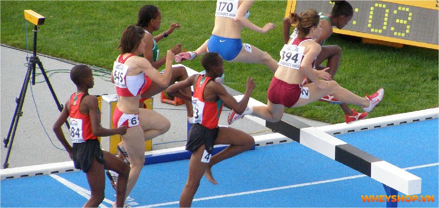 Điền kinh là gì? Chắc hẳn không ít người đã nghe về môn thể thao này, thậm chí thời trung học còn phải thi bộ môn này. Hãy cùng WheyShop tìm hiểu....