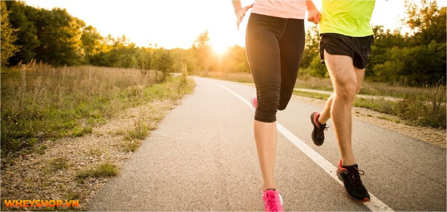 Điền kinh là gì? Chắc hẳn không ít người đã nghe về môn thể thao này, thậm chí thời trung học còn phải thi bộ môn này. Hãy cùng WheyShop tìm hiểu....