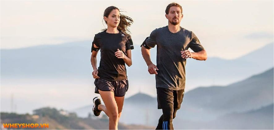 Điền kinh là gì? Chắc hẳn không ít người đã nghe về môn thể thao này, thậm chí thời trung học còn phải thi bộ môn này. Hãy cùng WheyShop tìm hiểu....