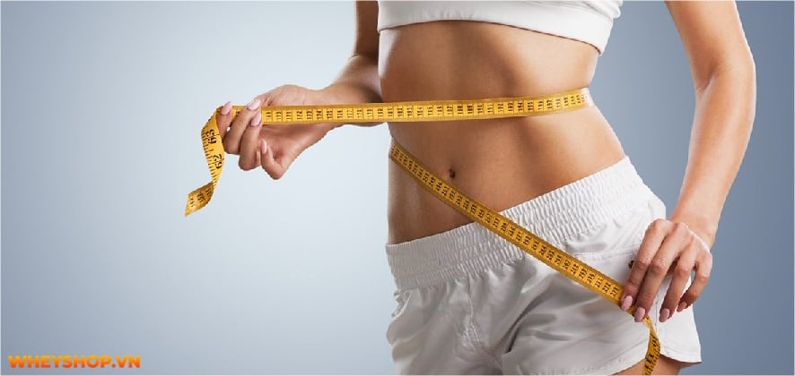 Điền kinh là gì? Chắc hẳn không ít người đã nghe về môn thể thao này, thậm chí thời trung học còn phải thi bộ môn này. Hãy cùng WheyShop tìm hiểu....