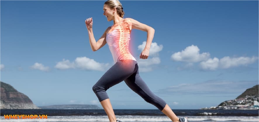 Điền kinh là gì? Chắc hẳn không ít người đã nghe về môn thể thao này, thậm chí thời trung học còn phải thi bộ môn này. Hãy cùng WheyShop tìm hiểu....