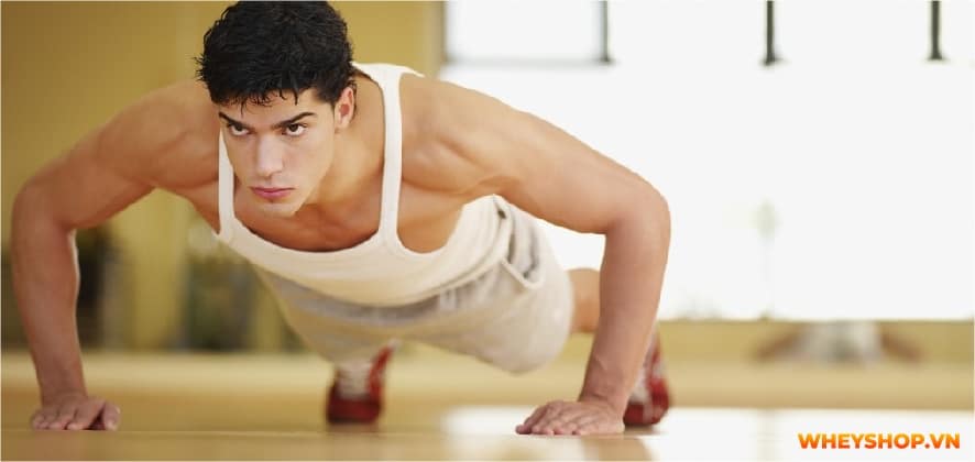 Điền kinh là gì? Chắc hẳn không ít người đã nghe về môn thể thao này, thậm chí thời trung học còn phải thi bộ môn này. Hãy cùng WheyShop tìm hiểu....