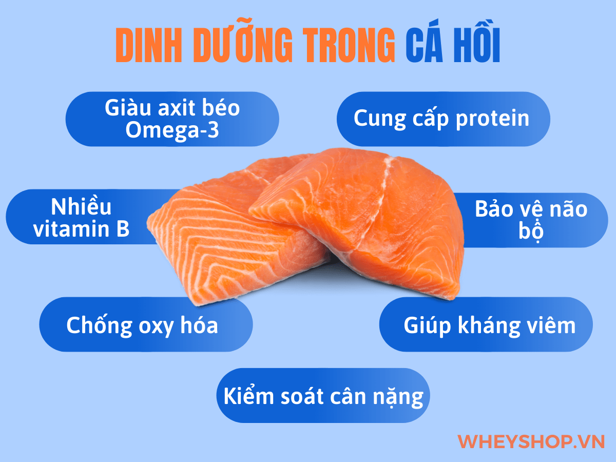 Cá hồi là tên một loại cá đỏ, mềm, săn chắc và do chứa nhiều thành phần dinh dưỡng cho sức khỏe. Tuy nhiên, câu hỏi đặt ra là ăn cá Hồi sống có tốt không và...