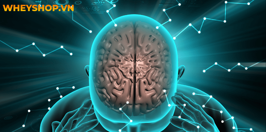 Cá hồi là tên một loại cá đỏ, mềm, săn chắc và do chứa nhiều thành phần dinh dưỡng cho sức khỏe. Tuy nhiên, câu hỏi đặt ra là ăn cá Hồi sống có tốt không và...