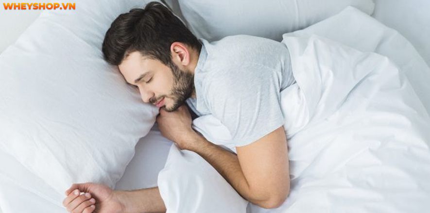 Chuối là một trong những loại trái cây được nhiều người yêu thích vì nó cung cấp cho cơ thể nhiều chất dinh dưỡng cần thiết? Vậy ăn chuối buổi tối thì có lợi...