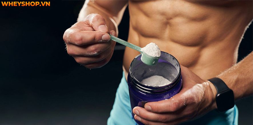 Nếu bạn đang băn khoăn không rõ BCAA có tác dụng phụ không thì hãy cùng WheyShop tham khảo để biết cách sử dụng BCAA đúng cách, hiệu quả ngay nhé