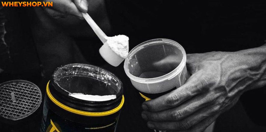 Nếu bạn đang băn khoăn tìm hiểu về Creatine HCL là gì thì hãy cùng WheyShop tham khảo bài viết so sánh đánh giá Creatine HCL và Creatine Monohydrate qua bài viết...