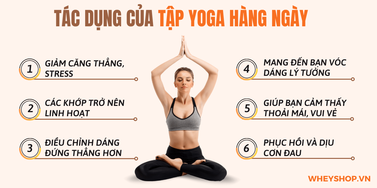 Nếu bạn đang băn khoăn tập Yoga hàng ngày có tốt không thì hãy cùng WheyShop tham khảo chi tiết bài viết ngay sau đây...