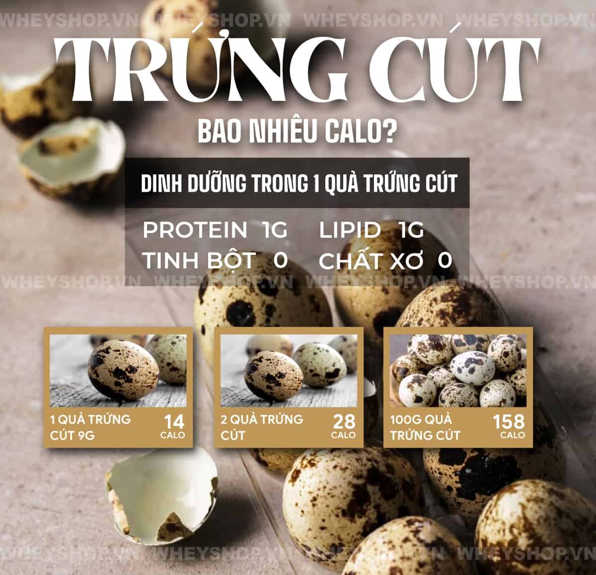 1. Trứng Cút Bao Nhiêu Calo?