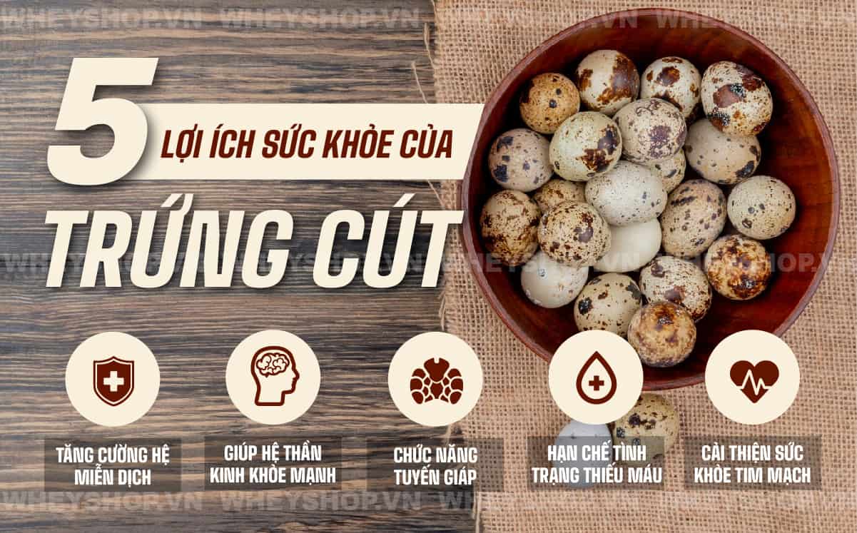 Trứng cút được sử dụng phổ biến và nó có đầy đủ các chất dinh dưỡng như trứng gà. Cùng WheyShop tìm hiểu hàm lượng dinh dưỡng và trứng cút bao nhiêu calo...