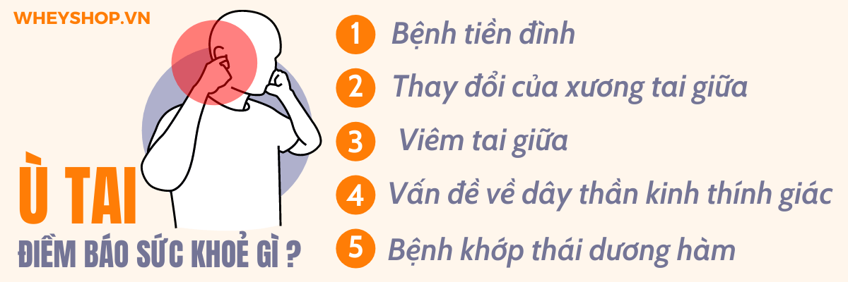 Nếu bạn đang thắc mắc ù tai điềm báo trong cuộc sống thì hãy cùng WheyShop tham khảo chi tiết tại bài viết...