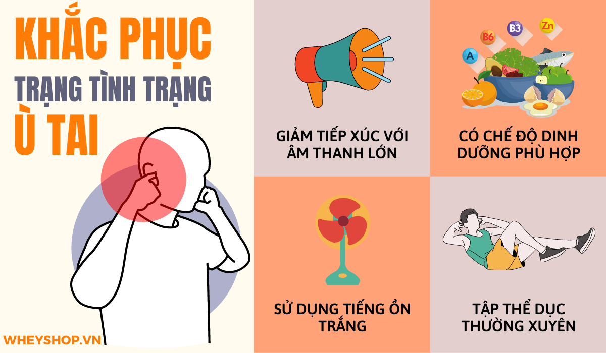 Nếu bạn đang thắc mắc ù tai điềm báo trong cuộc sống thì hãy cùng WheyShop tham khảo chi tiết tại bài viết...