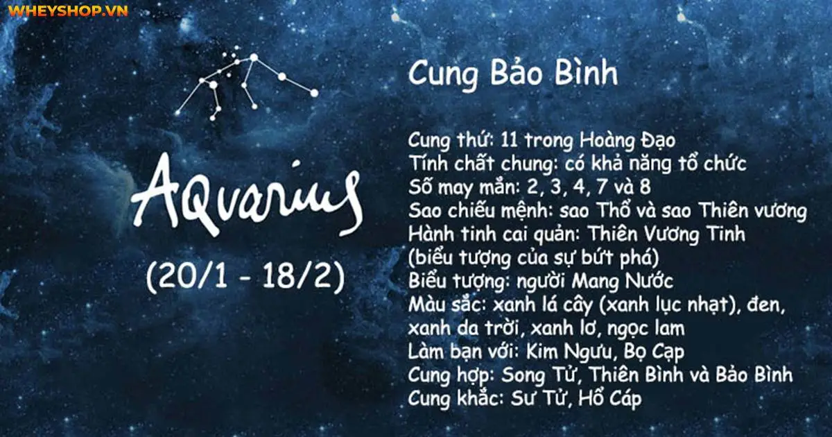 giai-ma-cung-bao-binh-tinh-cach-su-nghiep-tinh-yeu-4