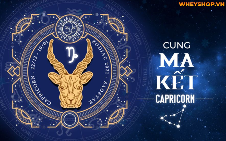 Cung Ma Kết được biết đến là một người thông minh, có thể xử lý tình huống tốt. Bài viết dưới đây sẽ giúp bạn giải mã cung Ma Kết ở nhiều khía cạnh khác nhau...