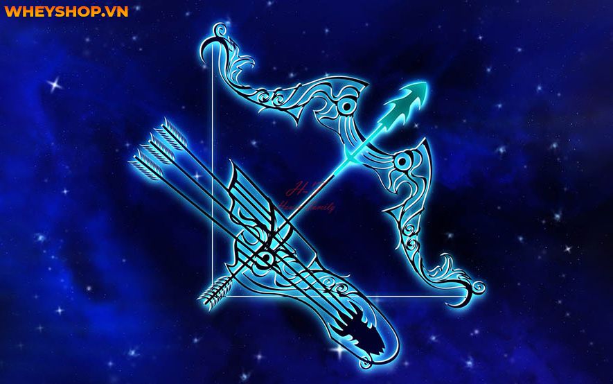 Cung Nhân Mã là cung hoàng đạo được mệnh danh là có tính cách phóng khoáng nhất của 12 cung. Xin mời các bạn hãy cùng WheyShop đọc bài viết dưới đây để khám...